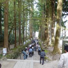 光前寺　光苔で有名！皆さん探しています