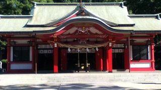 ★神社に大木があり、癒されます。