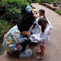 グリーティングは10分と待ちませんでした