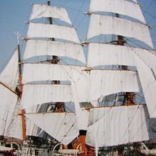 白い帆が美しい