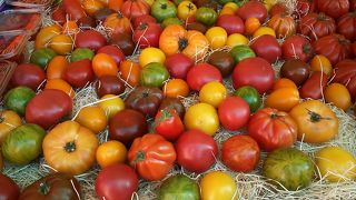 お花が色とりどり