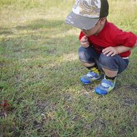 カニと出合って喜ぶ息子