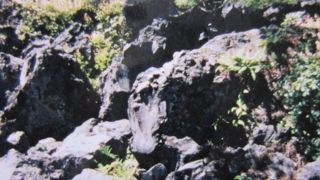 不思議な岩がいっぱい