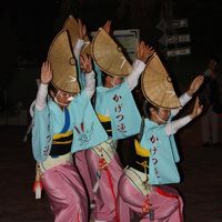 プールサイドでの阿波踊り