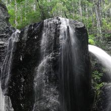 向かって左側の水流