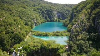 人混みにも負けず！猛暑にも負けず！頑張りました