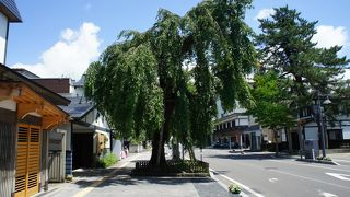 佐竹北家二代目当主へ京都より公家のお姫様が輿入れする際に持ち込んだもの