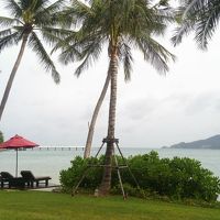 海やビーチが見渡せます