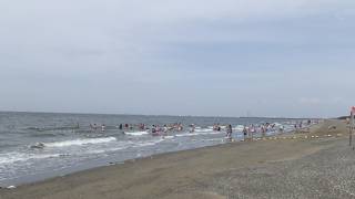 いなげの浜海水浴場