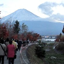「もみじ回廊」を目指す人の流れ