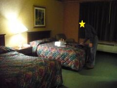 Chicago O'hare Garden Hotel 写真