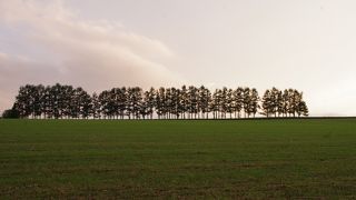 雰囲気がとても良かったです！