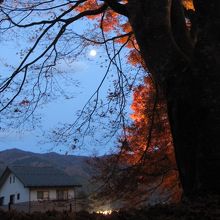 月ともみじが幻想的