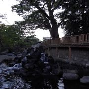 日本で最初の親水公園
