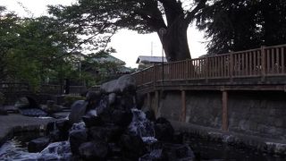 日本で最初の親水公園