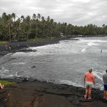 海亀は頭しか出さないので、写真に撮れませんでした。