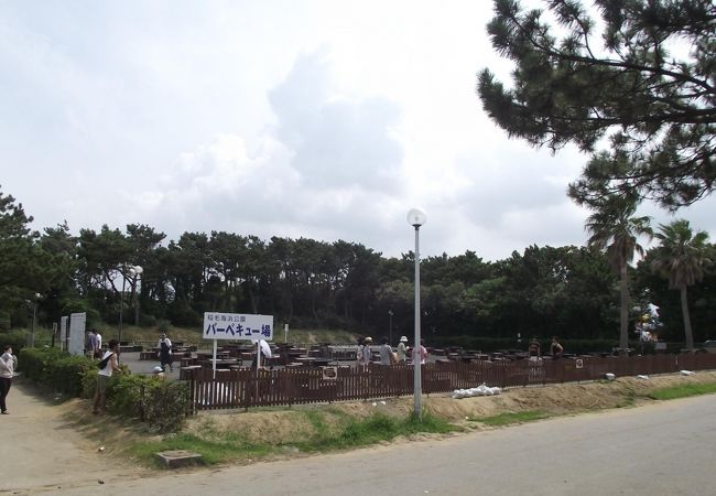稲毛海浜公園 クチコミ アクセス 営業時間 幕張 フォートラベル