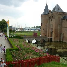 標高がとても低い