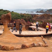 これが「女王頭」です