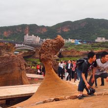 「女王頭」を後ろから見るとこんな感じ