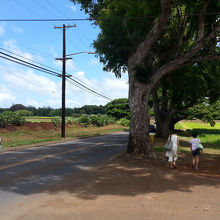 ノースショアマーケットプレイス南側