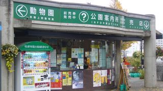 四季を通して楽しめますね