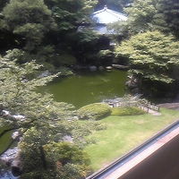 二階からの庭の眺め