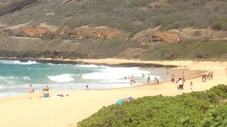 ロコの妙技を眺めて過ごします