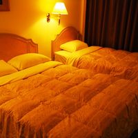 ホテルフラワー