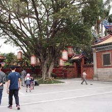 境内は地元の人達の憩いの場でした。