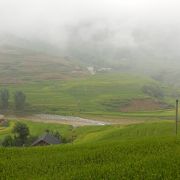 雨期に参加は厳しいのかも