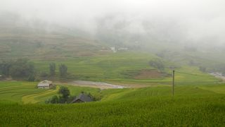 雨期に参加は厳しいのかも