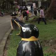 動物園の入園料は安い