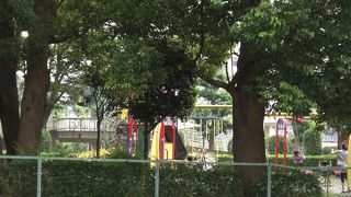 駅近くの自然豊かな公園