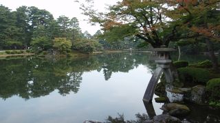 さまざまな松が見事