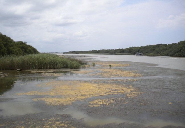 カバやワニもいるが遭遇するのは難しい