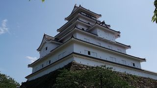 八重の桜・・・