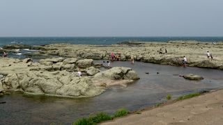 広い岩場～千畳敷海岸