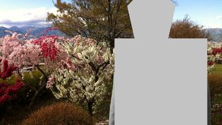 満開の桃畑を散歩しながら博物館。