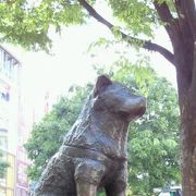 渋谷の有名犬☆