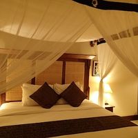 エグゼクティブ・デラックス