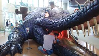 堺市立ビッグバン