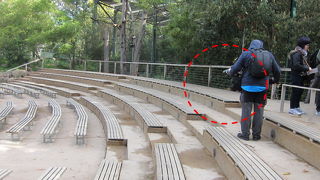 ヒールズビルサンクチュアリ