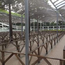 朝一はこんな感じ