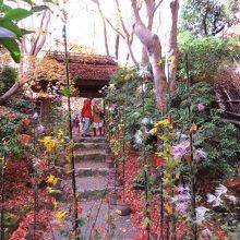 祇王寺の本当の入口。嵯峨菊が綺麗です。