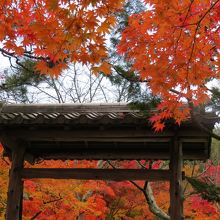 化野念仏寺の入口の門です。赤が綺麗です。