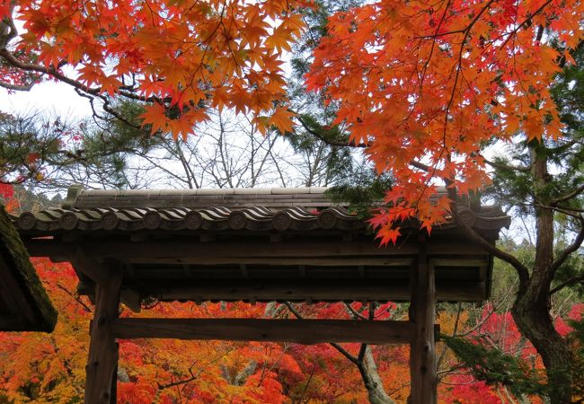 あだし野念仏寺千灯供養