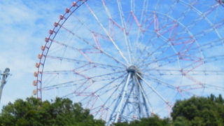 広大な公園です