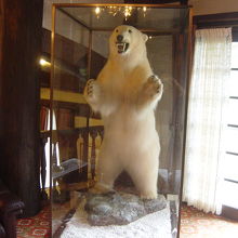 食堂に飾られていた白クマの剥製