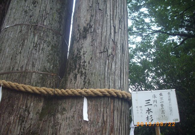 奥多摩駅よりすぐ